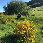 Apartament A Cote De La Station De Le Lioran Dans Le Cantal