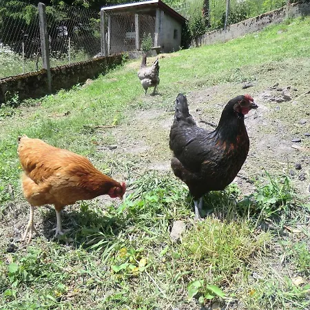 A Cote De La Station De Le Lioran Dans Le Cantal