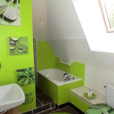 A Cote De La Station De Le Lioran Dans Le Cantal *