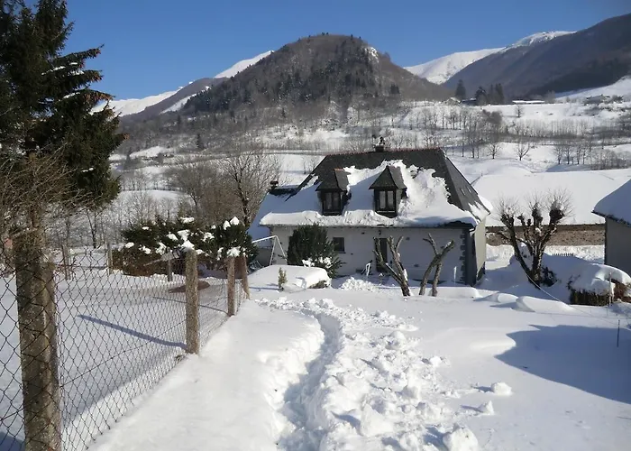 A Cote De La Station De Le Lioran Dans Le Cantal Apartment Saint-Jacques-des-Blats